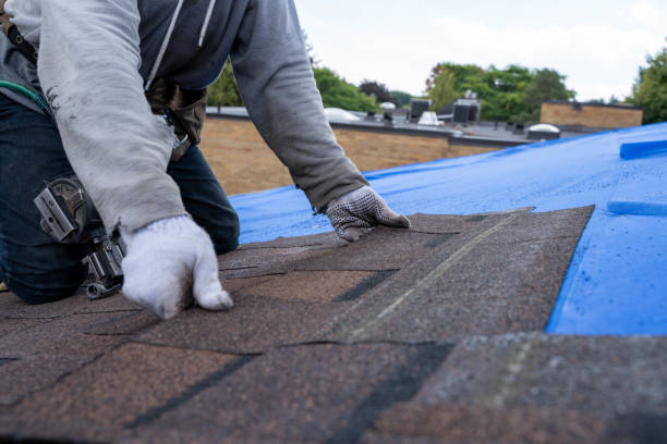 Quick and Trustworthy Emergency Roof Repair Services in Alpine, UT